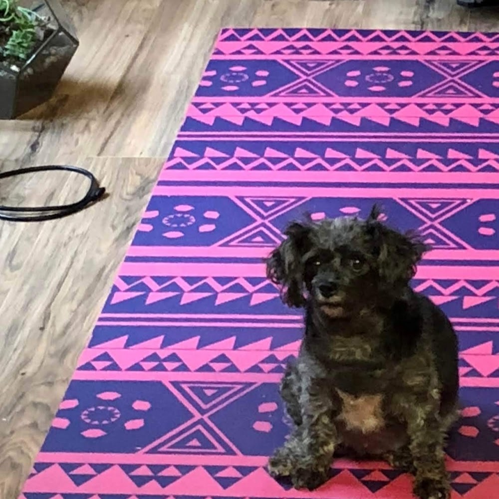 Meet your Posher, Jeannie